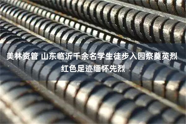 美林资管 山东临沂千余名学生徒步入园祭奠英烈 红色足迹缅怀先烈